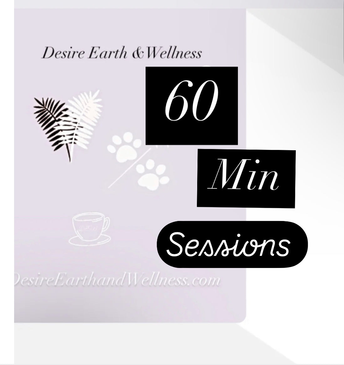 1 hour session virtual online telehealth mental health therapy session