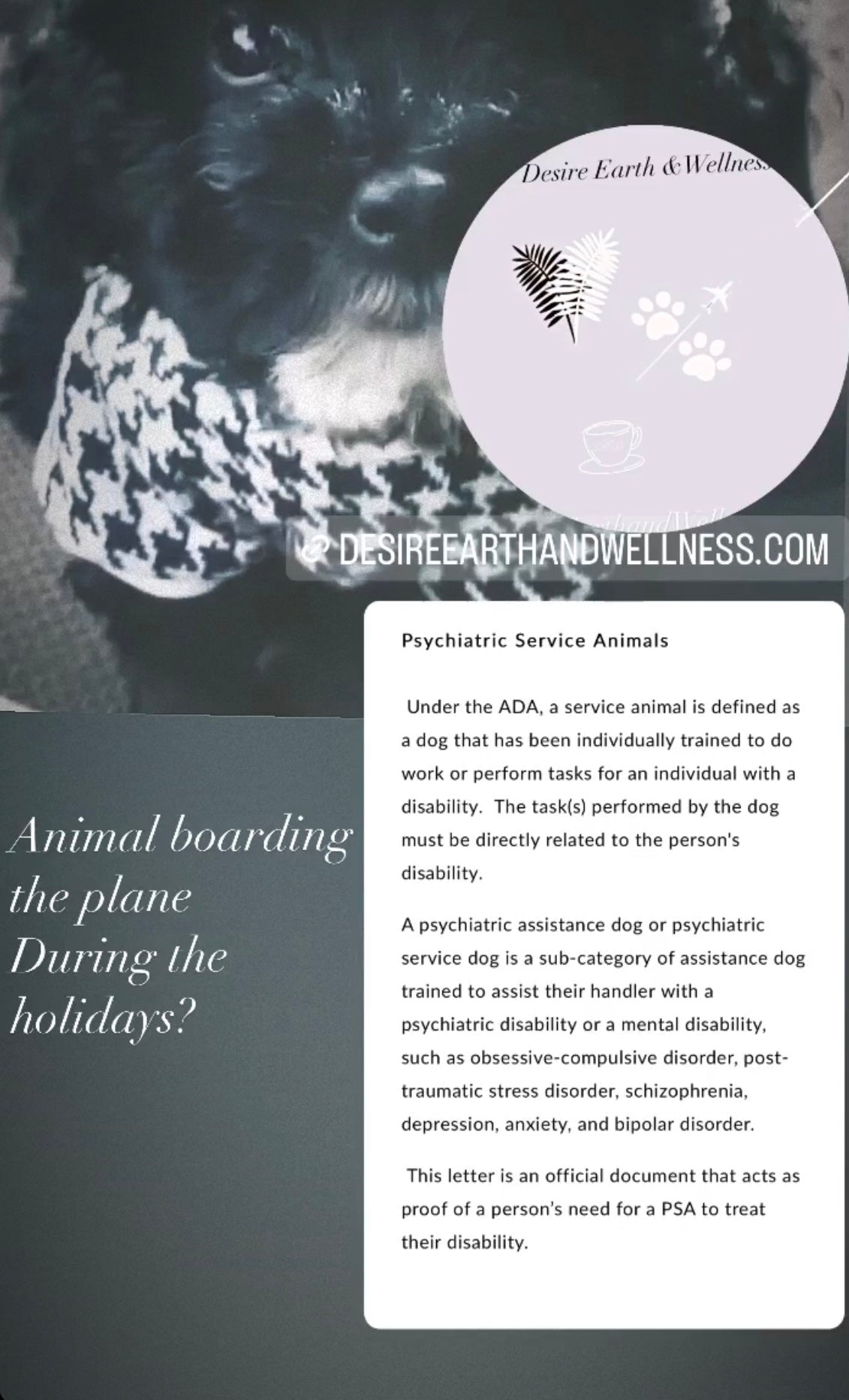 Services Animals PSA&ESA Assessment 🐾