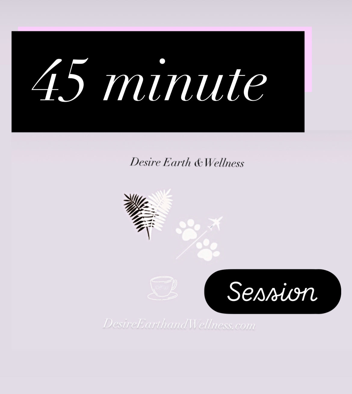 DEW 45 minutes virtual online telehealth Therapy session